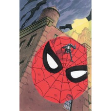 A Saga do Homem-Aranha 17 (41)