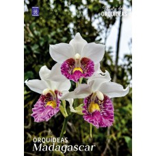 Orquídeas Madagascar - Mestre das Orquídeas - Volume 35
