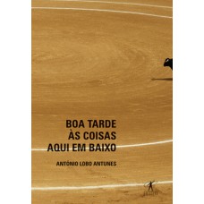 Boa tarde às coisas aqui em baixo