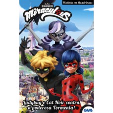 Ladybug e Cat Noir contra a poderosa Tormenta!