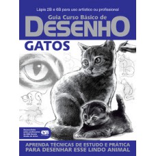 Guia curso básico de desenho