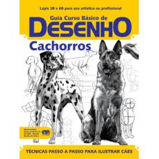 Guia curso básico de desenho