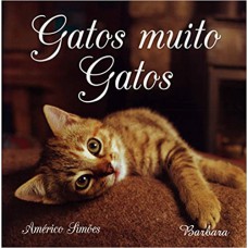 Gatos Muito Gatos