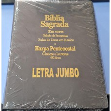 BIBLIA SAGRADA LETRA JUMBO ZIPER