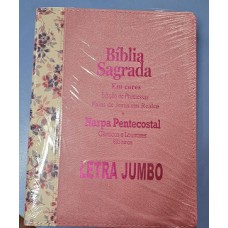 BIBLIA SAGRADA EM CORES LETRA JUMBO ROSA
