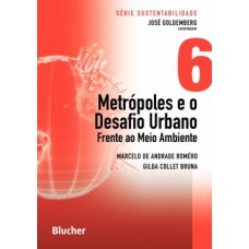 Metrópoles e o desafio urbano