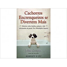 CACHORROS ENCRENQUEIROS SE DIVERTEM MAIS