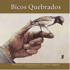 Bicos quebrados