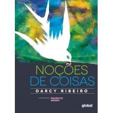 Noções de coisas