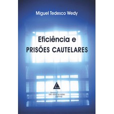 Eficiência e prisões cautelares