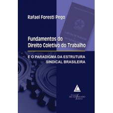 Fundamentos do direito coletivo do trabalho e o paradigma da estrutura sindical brasileira