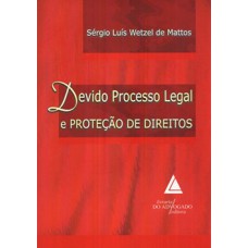 Devido processo legal e proteção de direitos