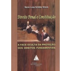 Direito penal e constituição