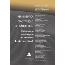 Hermenêutica, Constituição, decisão judicial