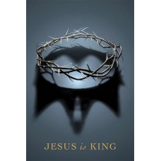 Bíblia NAA Jesus is king